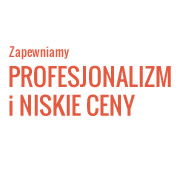 profesjonalizm