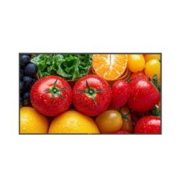AG NEOVO MONITOR 43 QM-5503 4K UHD 3840X2160  HDMI 5000:1 24/7, 500 cd/m2, RS232,RJ45, Anti-Burn-In, USB-play